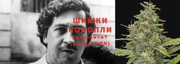 герыч Вяземский
