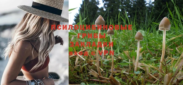 дживик Вязники