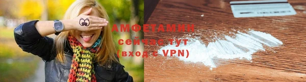 ПСИЛОЦИБИНОВЫЕ ГРИБЫ Горняк