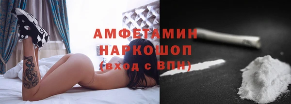 прущие грибы Горно-Алтайск