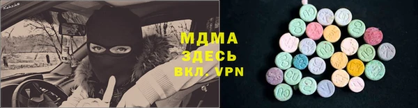 прущие грибы Горно-Алтайск