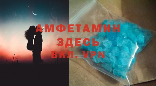 прущие грибы Горно-Алтайск