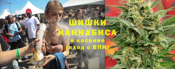 прущие грибы Горно-Алтайск