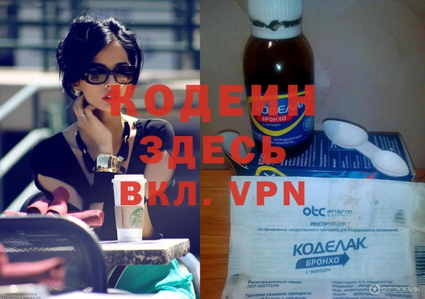 прущие грибы Горно-Алтайск