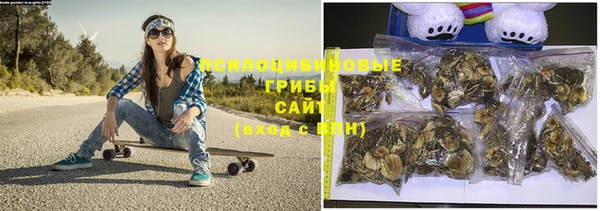 герыч Вяземский